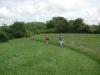 Mom and Dad at Dwyer Farm 5_thumb.jpg 2.0K